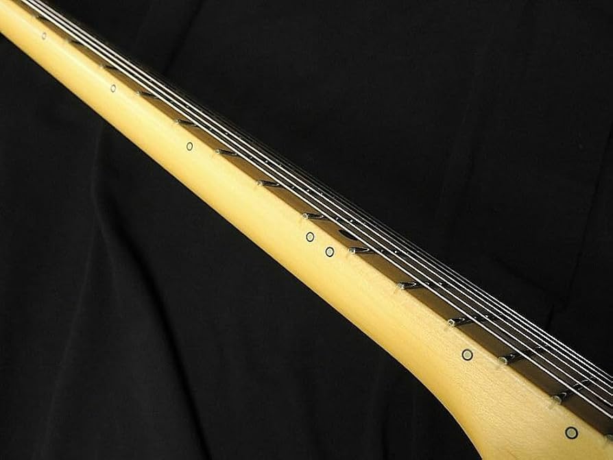 FGN テレキャスター NTE10MAH SBB Neo Classic FgN フジゲン NTE10MAH SBB 国産 エレキギター Fujigen 送料無料
